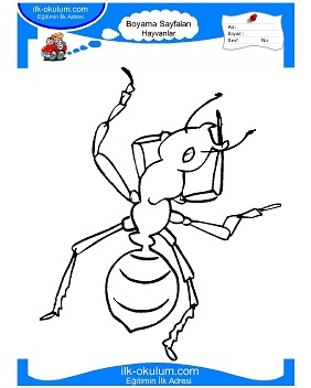 Çocuklar İçin Karınca Boyama Sayfaları 
